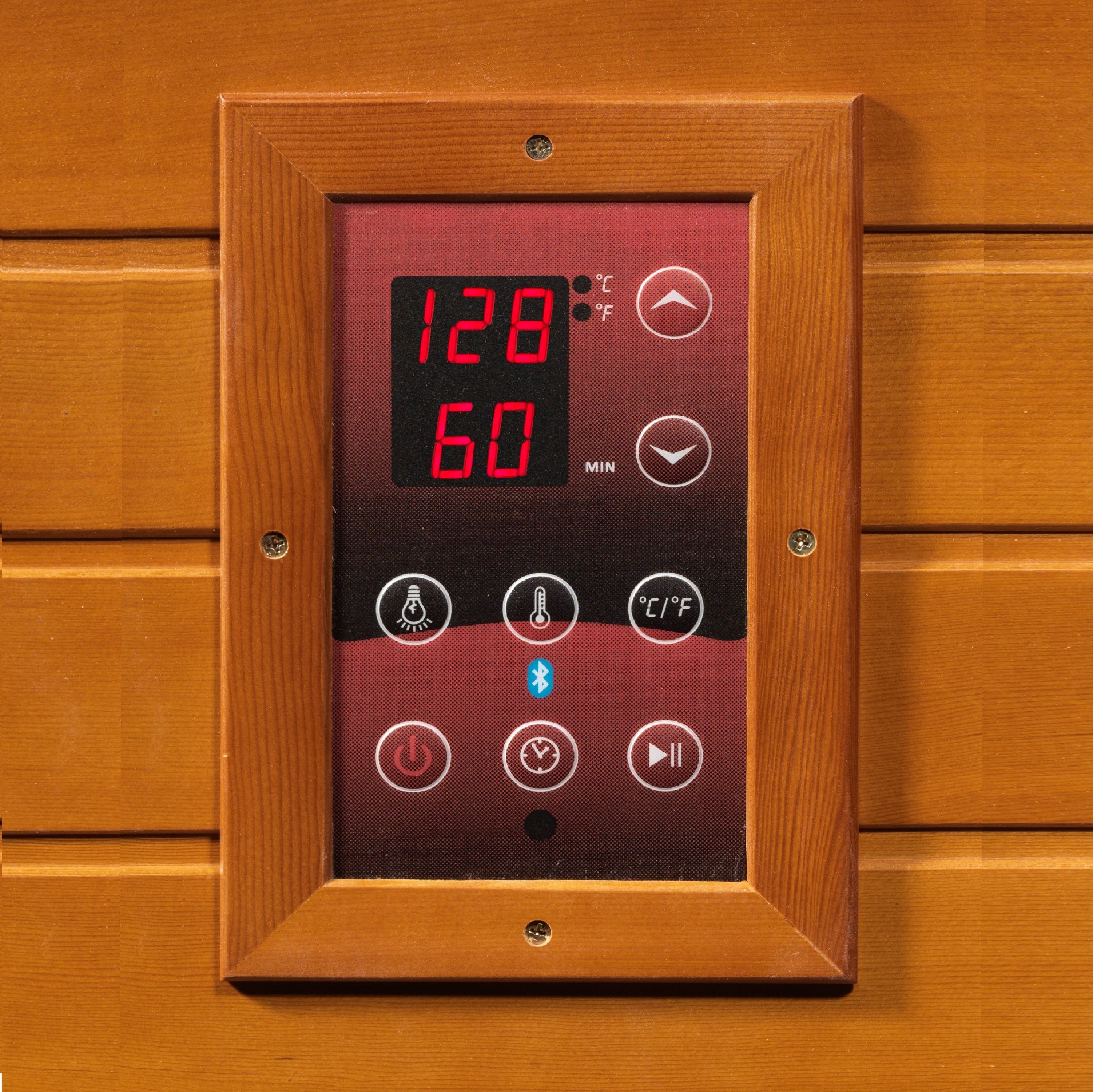 Dynamic Santiago FS - Digital Control Panel
